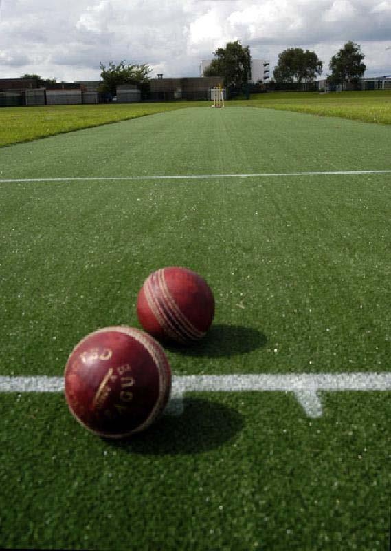 TigerTurf Cricket pitches TigerTurf wickets are installed for a wide range of playing situations- for match play, in the nets, indoor training facilities, and to provide an all weather, flat and