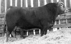 ..1,028 #205 day weight coupled with a 1,417# yearling weight.