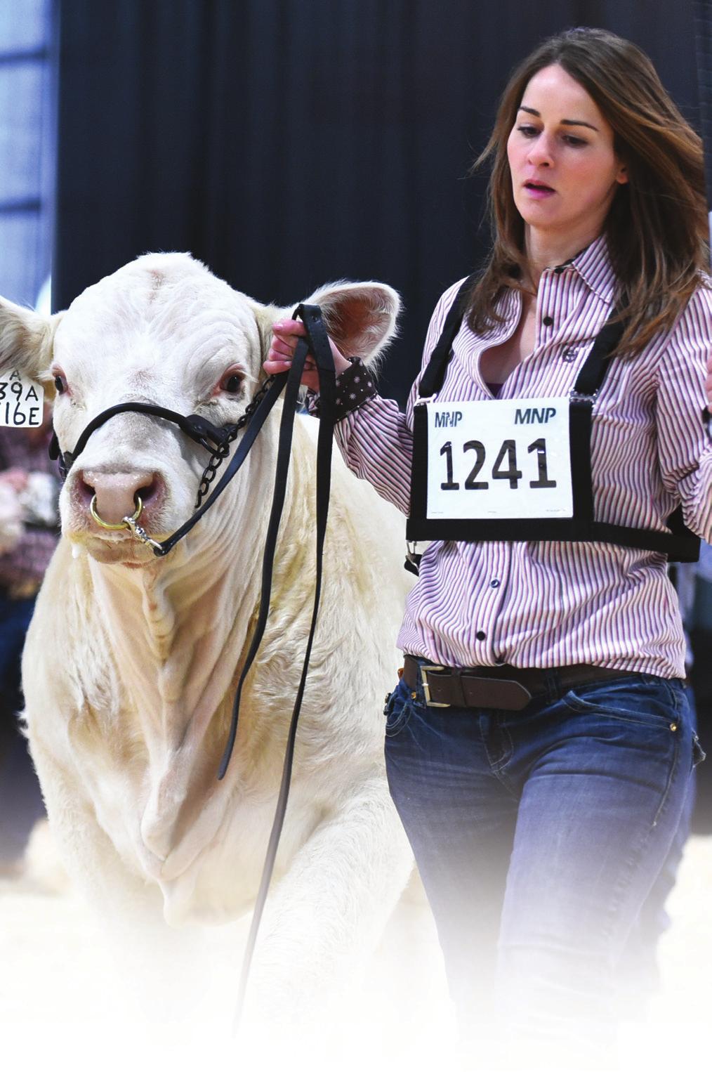 Located in Edmonton, Alberta, Northlands is one of Canada s oldest and most established agriculture societies and produces many events including Canada s premier agriculture