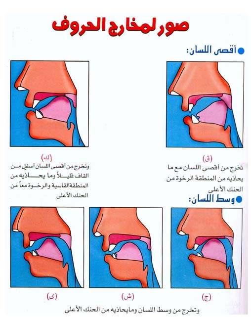 ش ش ين Sheen ال ق راء ة Al-qiraa'ah Phonetics Pronunciation: Like sh in English. Exit: The middle of the tongue with what corresponds from the roof of the mouth.