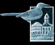 MONROE COUNTY Piney Woods Mockingbird. Writers. Federal Road. 162 Good stories spread fast in the South, but the classic bestsellers of Monroe County s literary legends captivated the world.