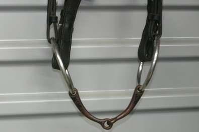 commonly used bit which is a jointed snaffle.