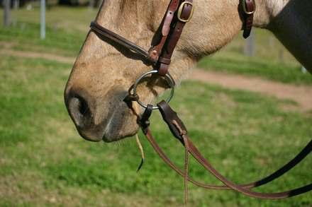 There is no hard and fast rule and some horses prefer one way or the other. However, the bit should never be very low and loose in the mouth (nor should it be very high and tight).