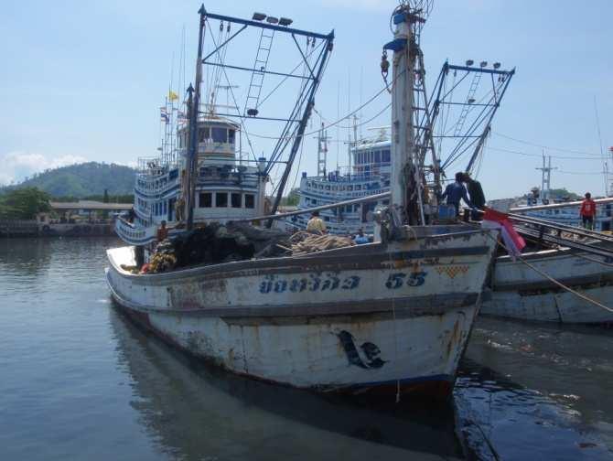 2 Fishing gears and fishing ground Purse seines of neritic tunas fishery along the Andaman sea coast of Thailand are basically classified in to 3 main types namely, Thai purse seine (TPS), light