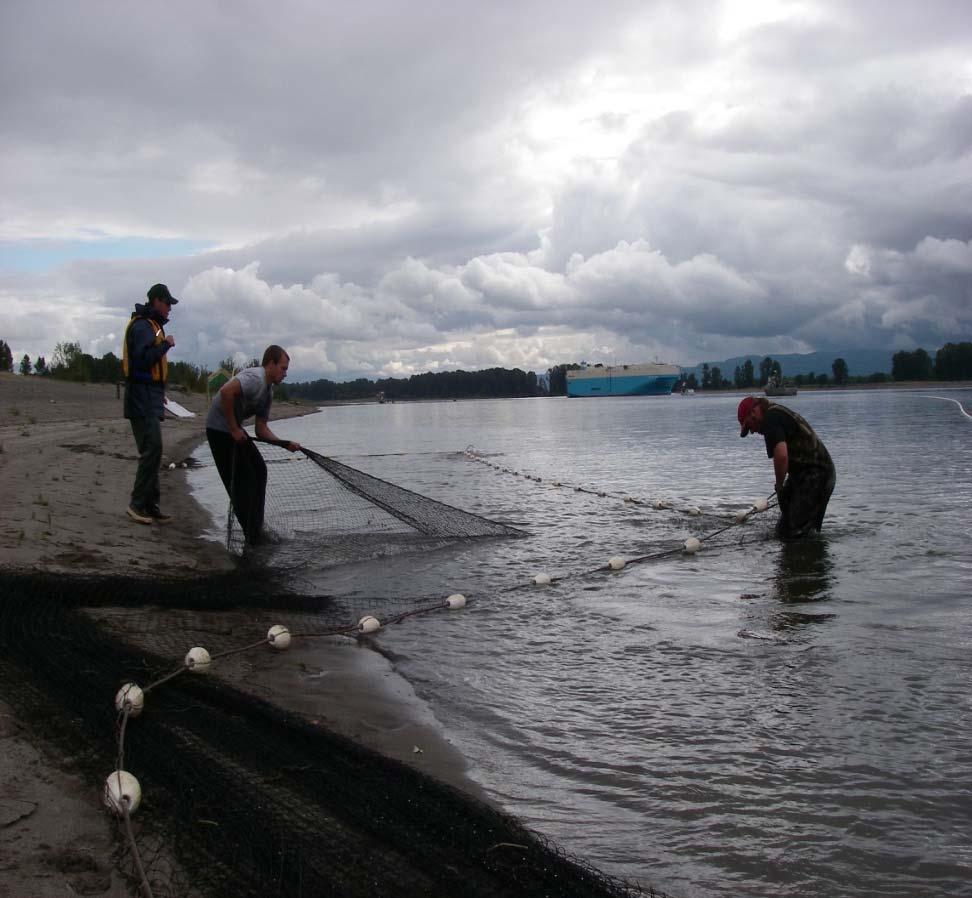 Policy Direction In 2012 a petition to eliminate gill nets from Columbia River was drafted as a ballot measure in OR Gov.
