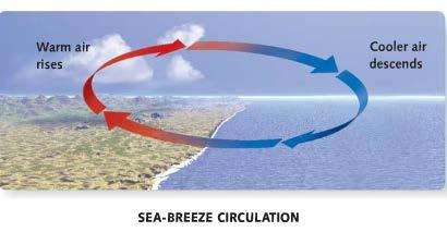 Sea and Land Breezes SEA BREEZE LAND BREEZE FACTORS AFFECTING WINDS