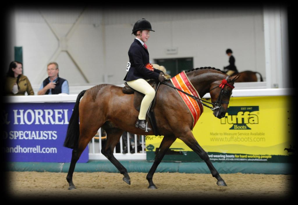 34. TSR VETERAN/SENIOR PONY FINAL Ponies to be 15 years & over. Riders any age to be suitably mounted. Open to qualified riders who hold a TSR or Equifest card.
