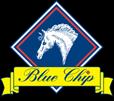 SUNDAY 16 September 2018 continued BLUE CHIP FEED are generously sponsoring the RIDDEN SHOW HORSE CHAMPIONSHIPS Special prizes will be awarded in classes S51 - S56 and the Blue Chip Ridden Show Horse
