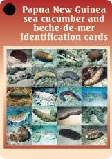 14 Value groups, trade names and minimum size restrictions for the PNG beche-de-mer fishery* PNG Scientific Minimum sizes trade name name Live Dry High grade species (value group H) Black teatfish