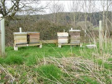 Member s Apiary: Derek Hunter at Umberleigh It s said that beekeeping is never a certainty and never dull which was very much the case last season.
