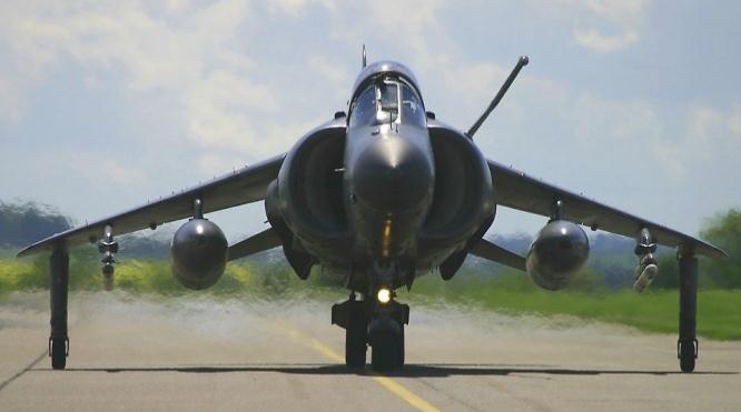 2. British Aerospace Sea Harrier-anhedral (Courtesy of Jenny