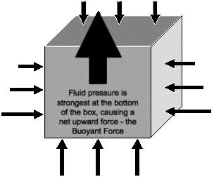 A Iportant uoyancy Page: 152 Unit: Pressure & lui Mechanics buoyancy: a net upwar force cause by the ifferences in hyrostatic pressure at ifferent levels within a flui: The hyrostatic pressure is