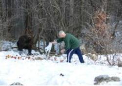 There is still a need to continue and to monitor the garbage collection. The number of tourists that came into contact with bears significantly decreased.