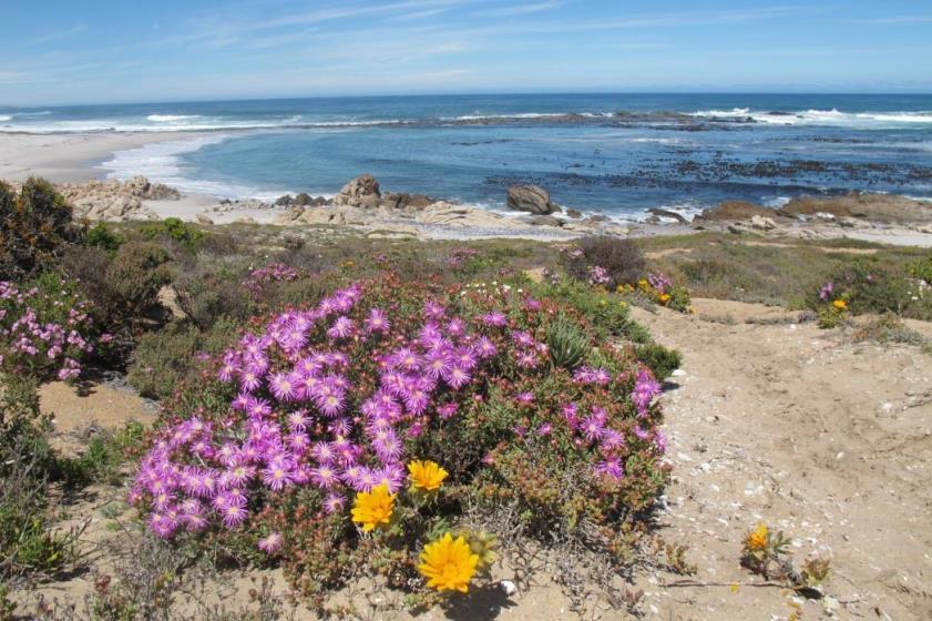 First marine protection in Namaqualand