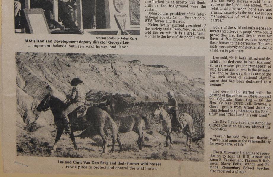 Two years later, during the roundup of 1977, the horses who were removed from the range for adoption were kept in pens at Redrock for a few days.
