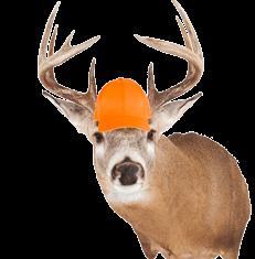 WELCOME HUNTERS Top off your hunting season with blaze orange!