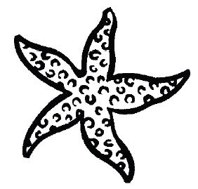 Predict I think the sea cucumber will feel: I think the star fish will feel: Now keep them underwater and