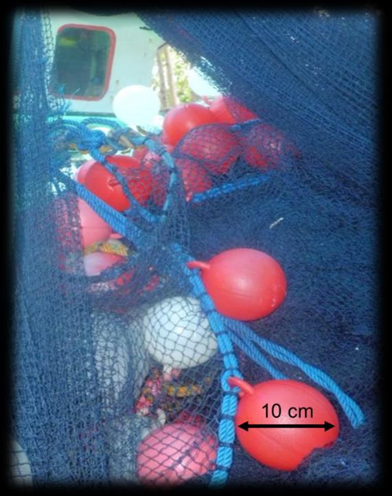 Figure 20: Floats of FV Hikma Jaya 4.1.6 Ballast Generally, in making their purse seine net, fishermen of Bone s regency do not use rings and lead sinkers separately.