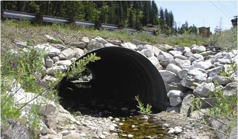 Fish Passage Section - Overview History
