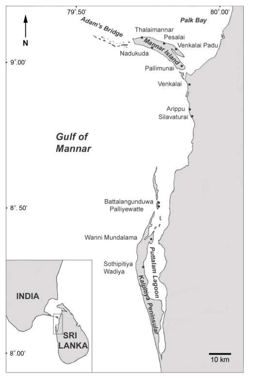 Figure 1 Area of dugong
