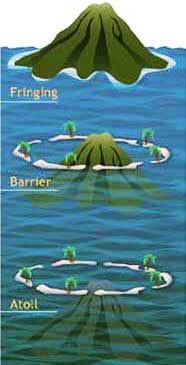 12. To know the formation of coral reefs Describe the
