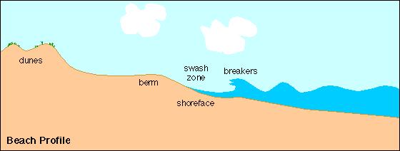 3. Field study skills: To be able to draw a Beach profile Beach profile If you were to look at the beach profile (side on) what would you see?