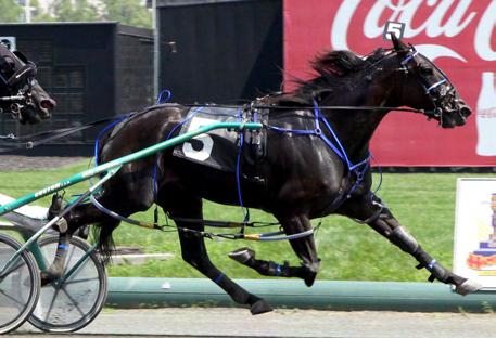 Panther Hanover s owner, Jim Carr, and trainer, Panther Hanover wins the 2012 NJ Classic with Tim Tetrick James Friday Dean, also teamed to win the 2011 Classic with Big Jim.