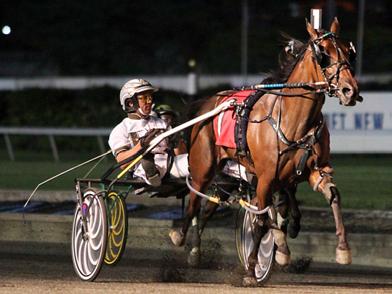 When Deadliest Catch by Chocolatier, the only non-muscles Yankee finalist in the field of six, broke stride in the first turn, 1-5 Corky coasted to a three-length victory over King Muscles in 1:57.3.