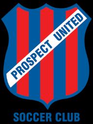 PROSPECT UNITED SOCCER CLUB Summer Sccer - RULES OF THE GAME The nrmal FIFA rules f ftball will apply except in the fllwing situatins: The Pitch The pitch shall be rectangular in shape.