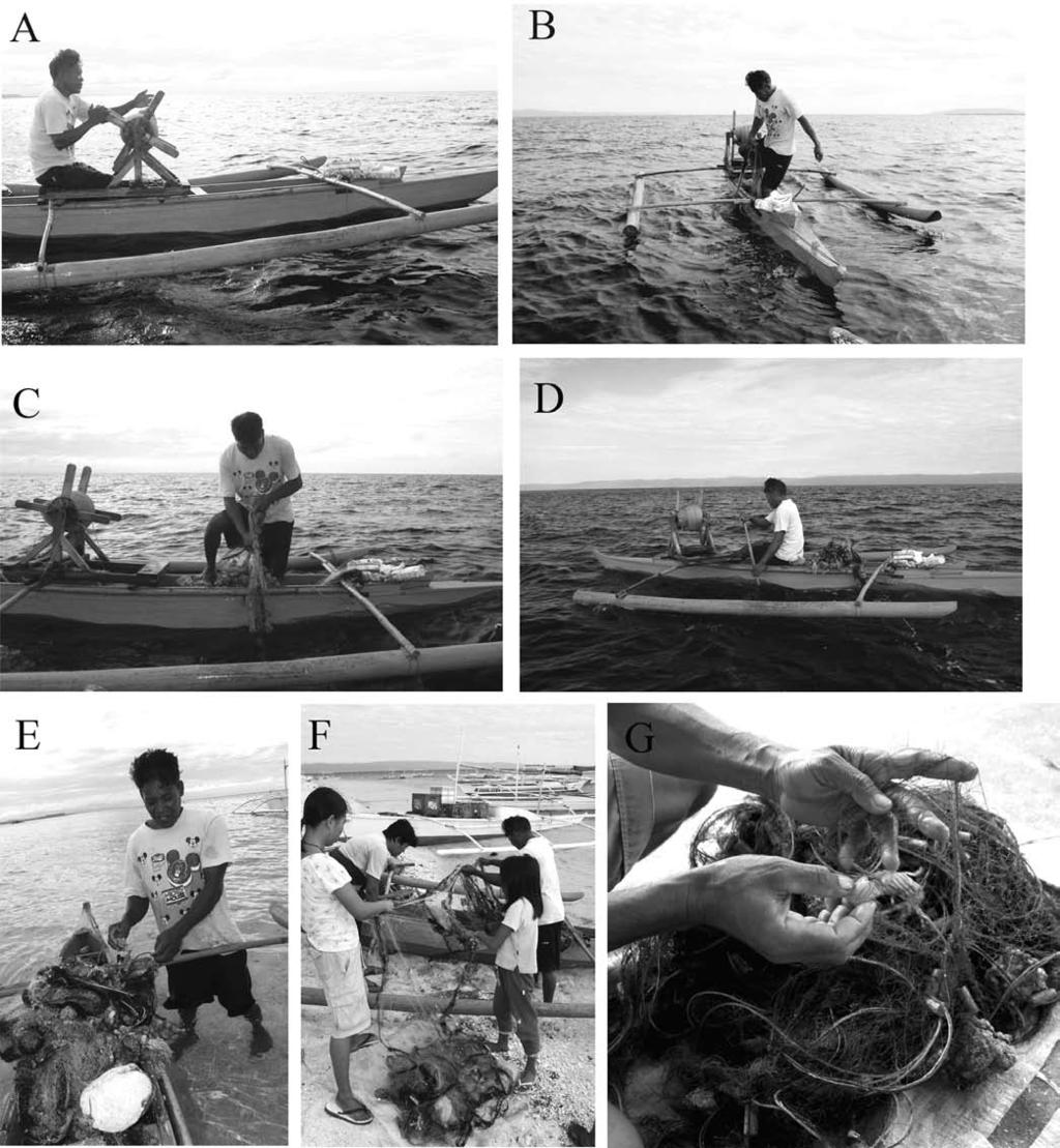 THE RAFFLES BULLETIN OF ZOOLOGY 2009 (Fig. 4A). Sometimes, the fisherman has to maneuver the boat to untangle the net if it gets snagged in the irregular underwater terrain.