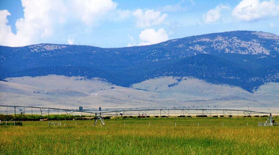 Cattle Grazing under Pivot LOCATION: The ranch headquarters, surrounded by the Pioneer, Highland, Ruby, and Blacktail Mountains, is located eight