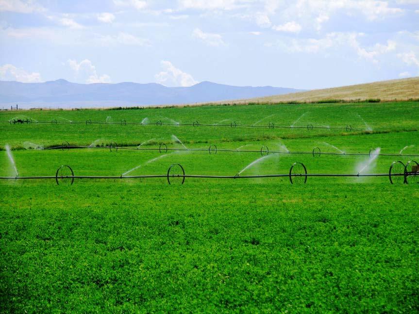 Side Roll Irrigation ACREAGE: Headquarters: 931 +/- acres deeded 935 +/- acres State of Montana leases 80 +/- acres 99 yr.