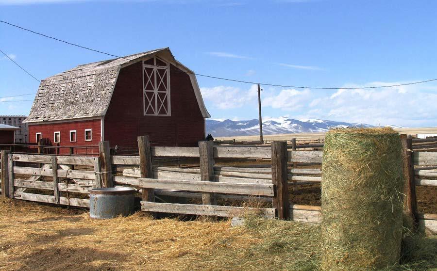 Red Barn for Horses PRODUCTION: Annually, the ranch puts up 2-3,000 round bales weighing 1,500-1,600 lbs. each. About 100 head are summered at the headquarters.
