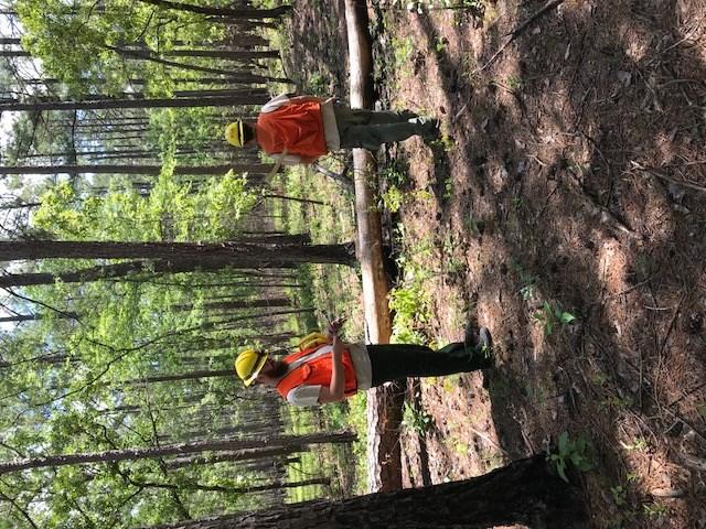 Ranger training is a year-long process of getting forest rangers acquainted with all things forestry related.