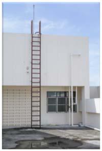 21(b)] 28 Notable New Requirements for Fixed Ladders Detailed specification requirements replaced with a performancebased provision that employers ensure all fixed ladders are capable of supporting