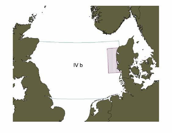 xi) Closed area to sprat and herring fisheries to protect herring (off Jutland) (Article 20 and 21 of CR 850/98 and Article 20 of CR 850/98) Location of the area closed to sprat and herring fishing