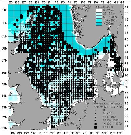 The IBTS surveys do only cover areas within the 200 m depth zone. The Norway pout box and the boundary between the EU and the Norwegian EEZ are shown. The maps are scaled individually (Anon. 2005).