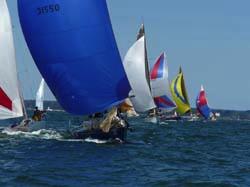 Communications: Thames Yacht Club has a monthly newsletter called the Mainsheet. Mainsheet has current information on club activities, race announcements and results as well as member articles.