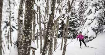 NORDIC SKI AREA AND OUTDOOR ACTIVITIES RATES IN NORDIC SKI AREA (keycard 2 not included) DISCOUNT to 13 and 65 to 74 years old ADULT 13 to 65 years old 1/2 day morning or afternoon 5.00 6.00 1 day 6.
