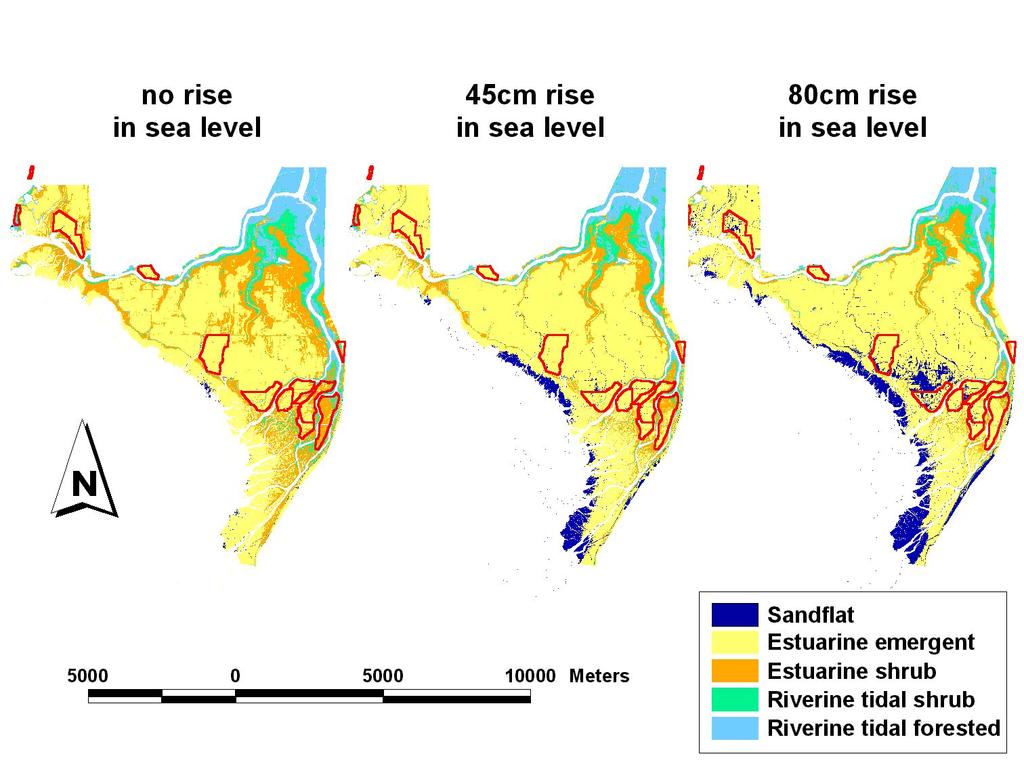 Sea Level rise Observed: 10-28 cm over last 100 years 2040s: 8-55 cm rise projected Loss
