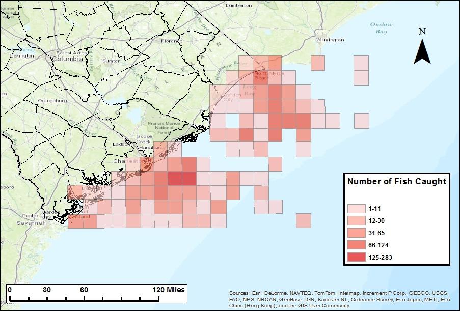 Figure 1. Distribution of gray trigger catch from SCDNR 6-pack Charterboat Logbook data. Each square represents a 10 mile 2 area.