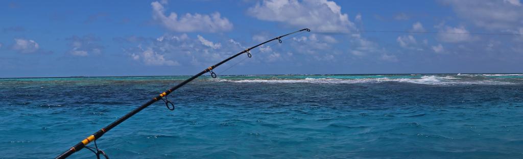 Fishing REEF FISHING Reef fishing is the most popular fishing trip done by most visitors to Belize. You will be picked up at the beach or marina and will be fishing within half an hour!