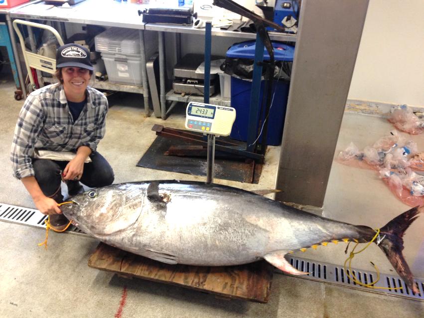 Bluefin Recreational Catch Size Sampling NOAA started sampling whole fish from trips in 204, previously done by IATTC Whole fish are measured from short- and longrange trips (¾-day to 2-day) SAC