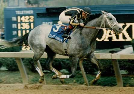 Derby, Smith took the gelding to Oaklawn, where Smith has been the meet s leading trainer three times, to race on Lasix in the Grade 2, $500,000 Arkansas Derby at 1 1 /8 miles.