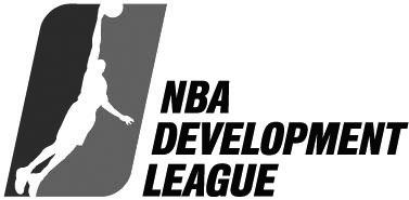 NBA Development League U-M AND NBA D-LEAGUE D-League Draft Selections Round, Pick 2001# Jimmy King Asheville Altitude 4th Round, No. 28 2003 Josh Asselin Roanoke Dazzle 1st Round, No.