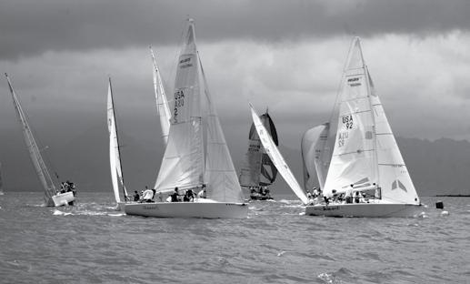 Melges s, and 4 J24 s were among the