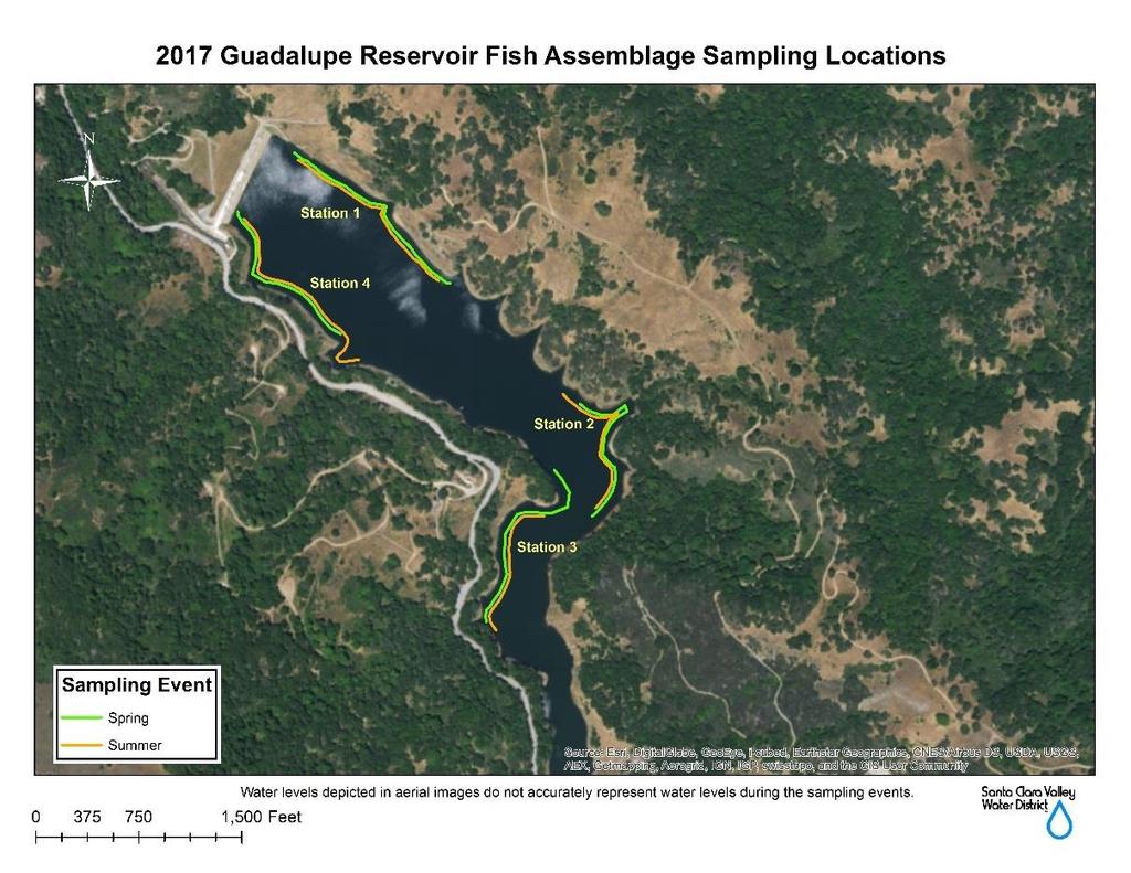 Figure 3: 2017 Guadalupe Reservoir sampling locations spring and summer. Table 3. Electrofishing captures in Guadalupe Reservoir spring and summer 2017.