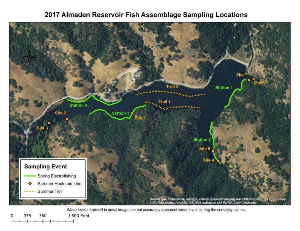 Figure 15: Almaden Reservoir sampling locations spring and summer (2017). Table 9: Captures in Almaden Reservoir for spring and summer 2017.
