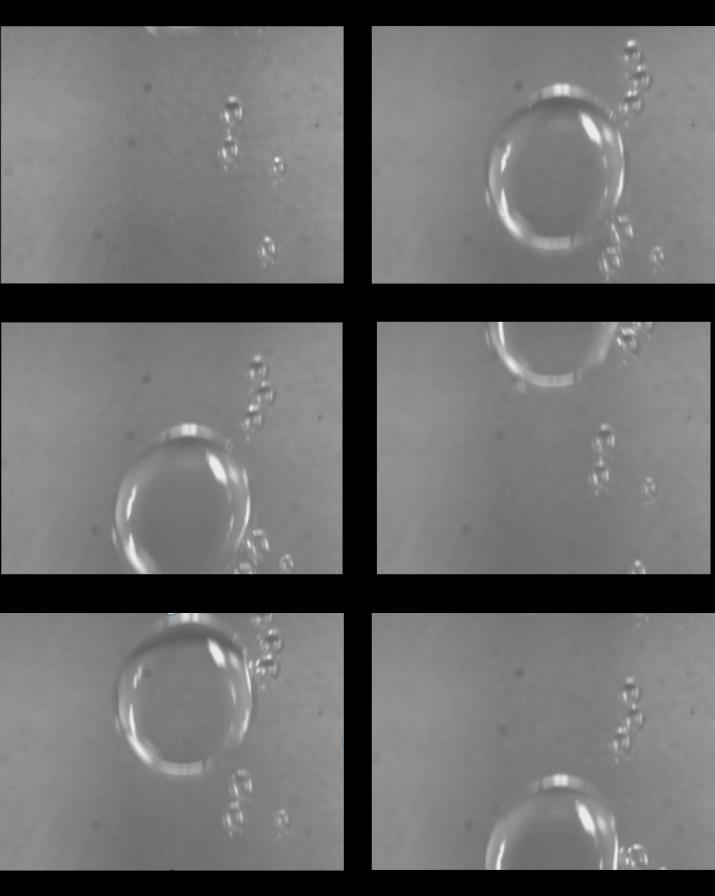 MODELING OF IN-PLANE VOID TRANSPORT DURING COMPOSITES PROCESSING 4 Results and Discussion Fig. 8 displays a time-lapse example result of bubble migration in the flow cell.