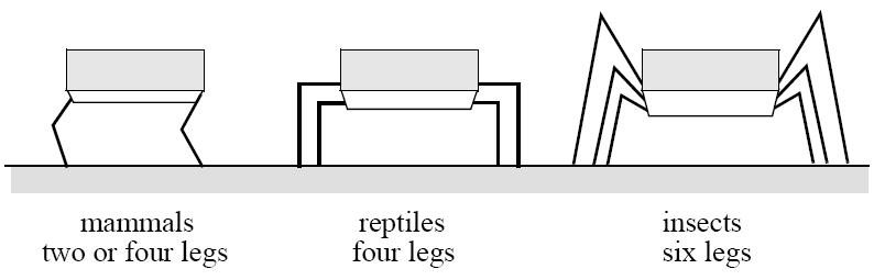 7 Mobile Robots with legs (walking machines) The fewer legs the more complicated becomes locomotion Stability with point contact- at least three legs are required for static stability Stability with